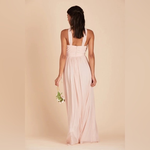 NWT Birdy Grey Kiko Dress in Mesh Pale Blush - Picture 2 of 5